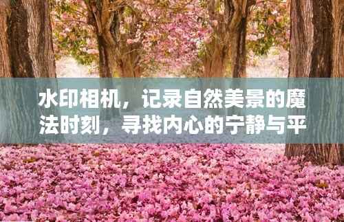 水印相机,捕捉自然美景的瞬间魔法,探寻内心的宁静与平和