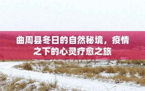 曲周县冬日自然秘境,疫情下的心灵疗愈之旅