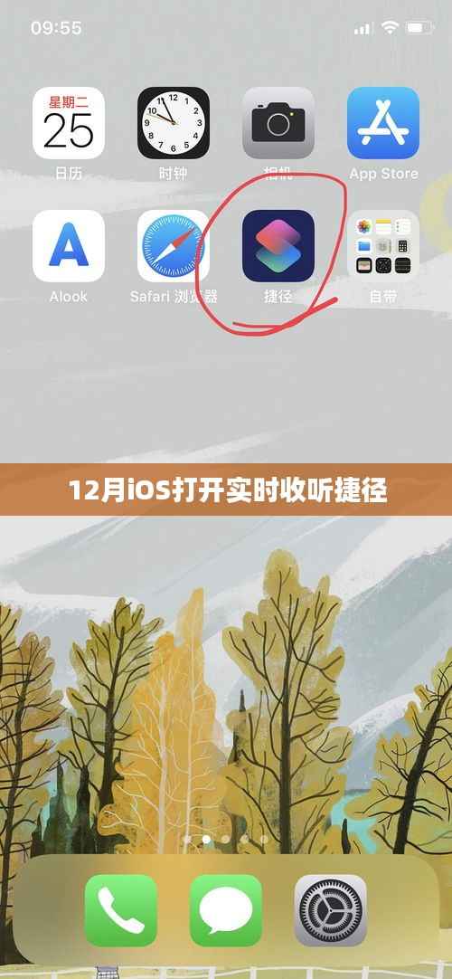 iOS实时收听捷径指南,12月开启新体验