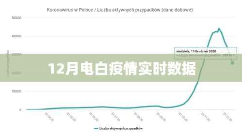 电白疫情最新实时数据播报