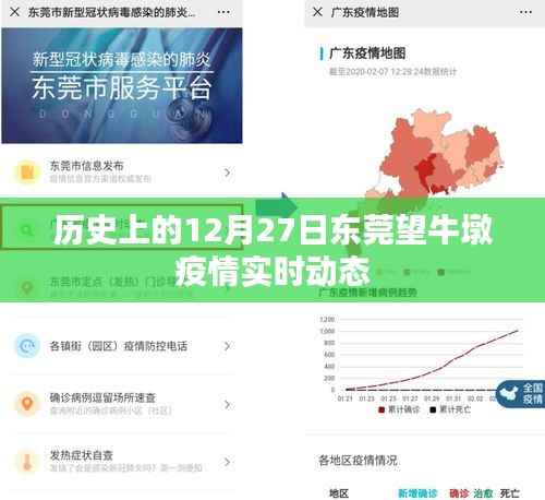 东莞望牛墩疫情实时动态,历史视角下的疫情演变