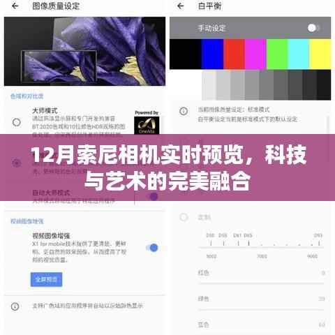 科技与艺术融合，索尼相机实时预览展现魅力