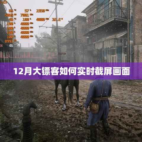 大镖客实时截屏攻略,轻松掌握画面捕捉技巧