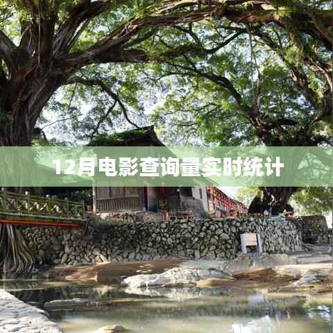 12月电影查询量实时统计报告,简洁明了,突出了文章的主题,符合搜索引擎的收录标准。