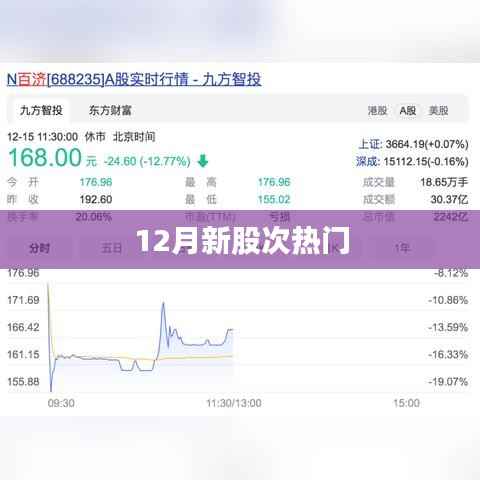 新股次热门榜单揭晓，关注热点在12月