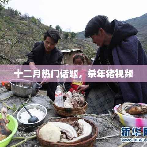 十二月热门话题,杀年猪现场实录