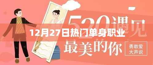 热门单身职业大盘点,12月27日最新趋势