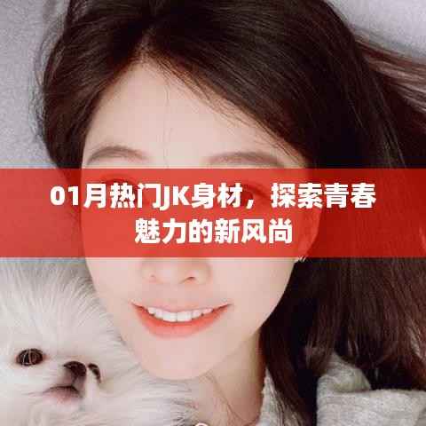 公司概况 第225页