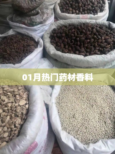热门药材香料大盘点,一月精选榜单
