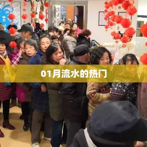 01月流水热门概览