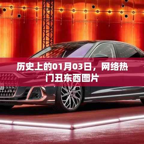 网络热门丑东西图片的历史时刻,一月三日回顾