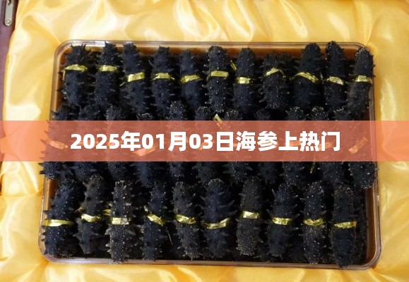 海参热潮,揭秘背后的故事,探寻美食新趋势