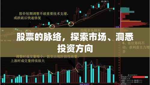 股票的脉络,探索市场、洞悉投资方向