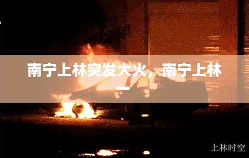 南宁上林突发大火,南宁上林一