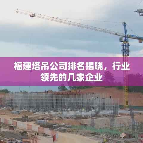 福建塔吊公司排名揭晓,行业领先的几家企业