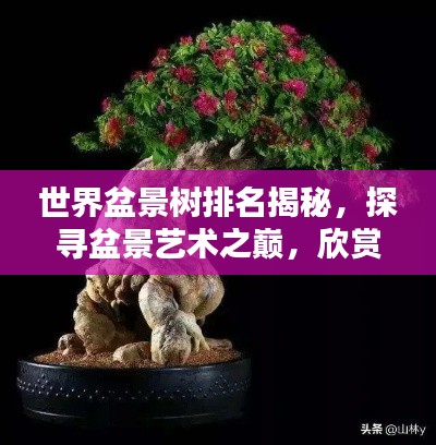 世界盆景树排名揭秘,探寻盆景艺术之巅,欣赏极致之美