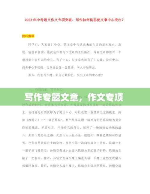 写作专题文章,作文专项