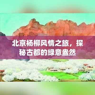 北京杨柳风情之旅,探秘古都的绿意盎然