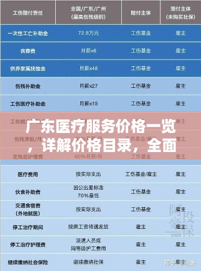 广东医疗服务价格一览,详解价格目录,全面了解医疗收费!