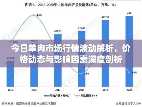 今日羊肉市场行情波动解析,价格动态与影响因素深度剖析