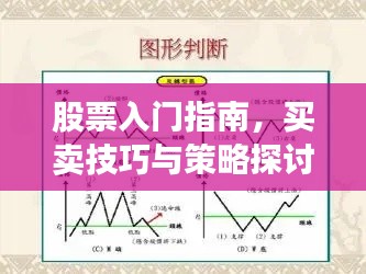 股票入门指南,买卖技巧与策略探讨