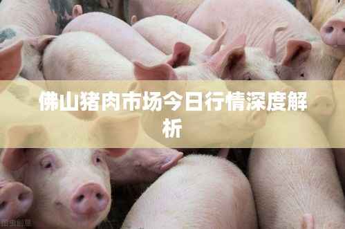 佛山猪肉市场今日行情深度解析