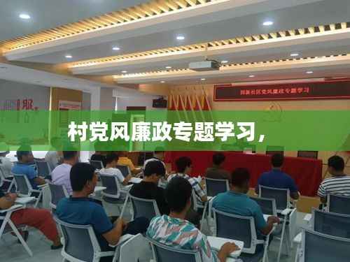 村党风廉政专题学习,