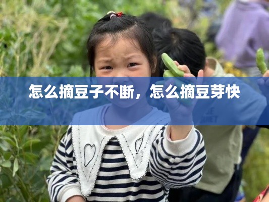 怎么摘豆子不断,怎么摘豆芽快