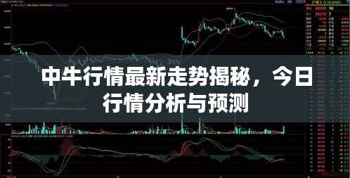 中牛行情最新走势揭秘,今日行情分析与预测
