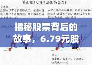 揭秘股票背后的故事,6.79元股票投资深度解析