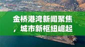 金桥港湾新闻聚焦,城市新枢纽崛起及未来展望