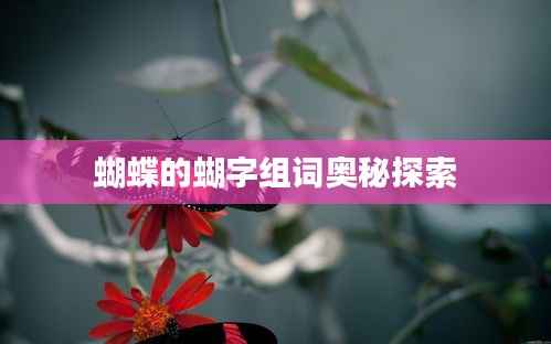 蝴蝶的蝴字组词奥秘探索