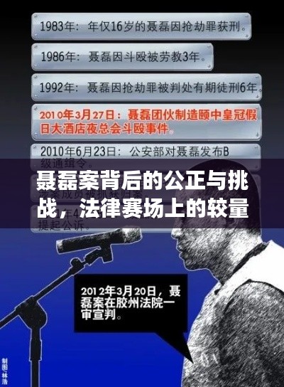 聂磊案背后的公正与挑战,法律赛场上的较量