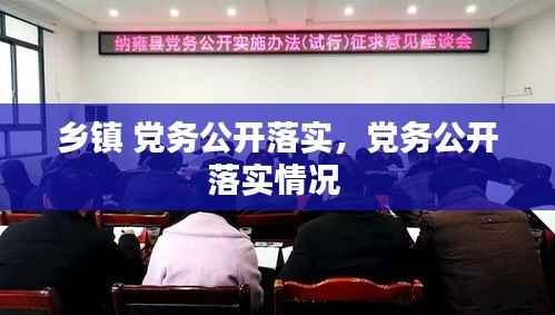 乡镇 党务公开落实,党务公开落实情况