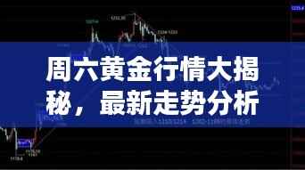 周六黄金行情大揭秘,最新走势分析!