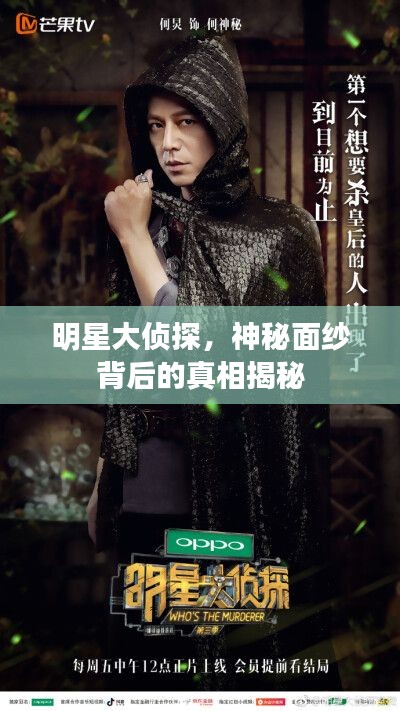 明星大侦探,神秘面纱背后的真相揭秘