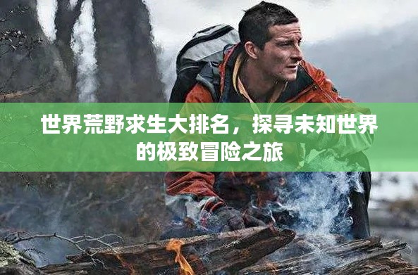 世界荒野求生大排名,探寻未知世界的极致冒险之旅