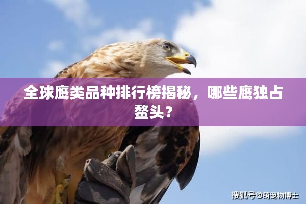 全球鹰类品种排行榜揭秘,哪些鹰独占鳌头?