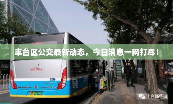 丰台区公交最新动态,今日消息一网打尽!