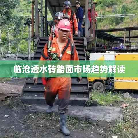 临沧透水砖路面市场趋势解读