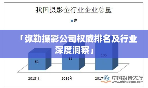 「弥勒摄影公司权威排名及行业深度洞察」