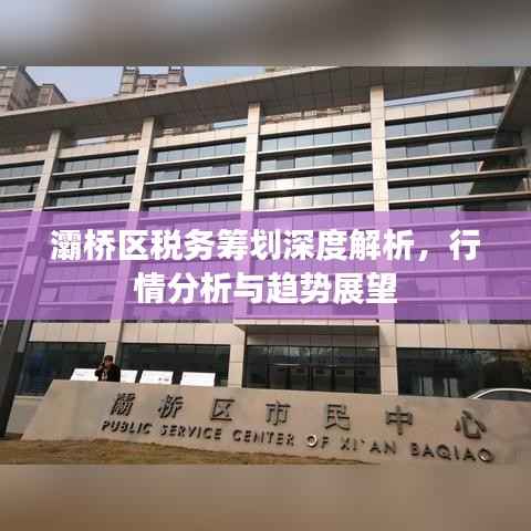 灞桥区税务筹划深度解析,行情分析与趋势展望