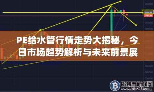 PE给水管行情走势大揭秘,今日市场趋势解析与未来前景展望