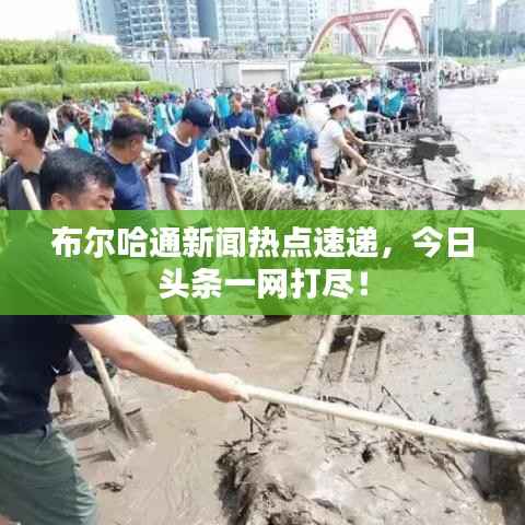 布尔哈通新闻热点速递,今日头条一网打尽!