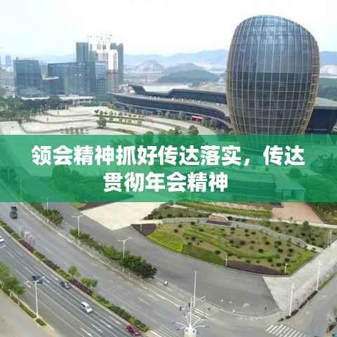 领会精神抓好传达落实,传达贯彻年会精神