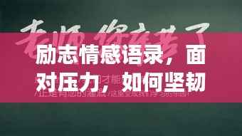 励志情感语录,面对压力,如何坚韧前行,拥抱生活挑战