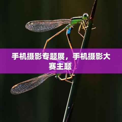 手机摄影专题展,手机摄影大赛主题