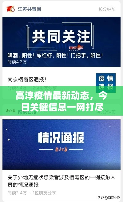 高淳疫情最新动态,今日关键信息一网打尽