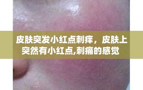 仓储物流园 第112页