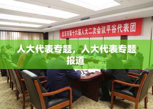 人大代表专题,人大代表专题报道